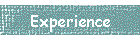 Experience