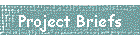 Project Briefs